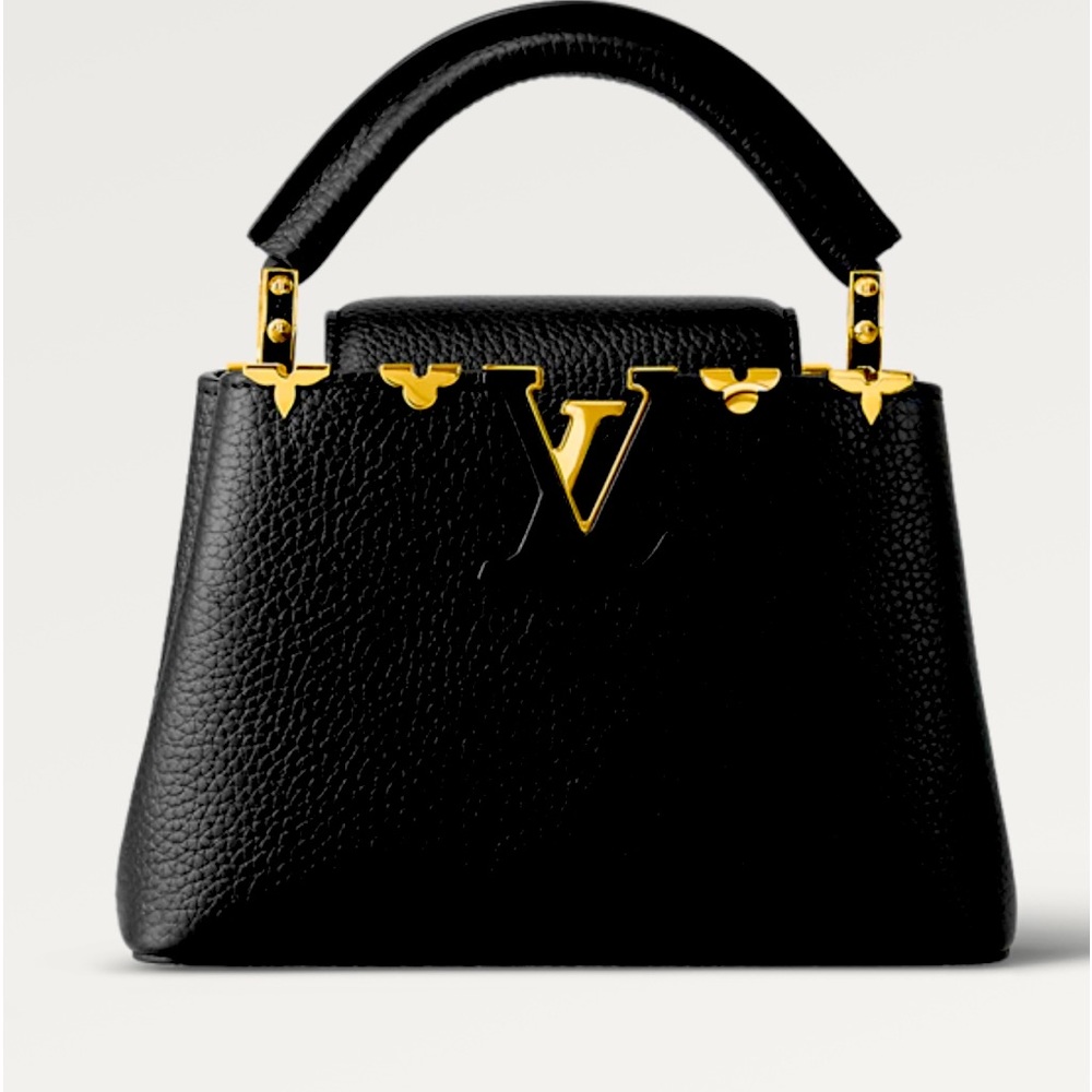 Louis Vuitton Mini Capucines new with tag and receipt.